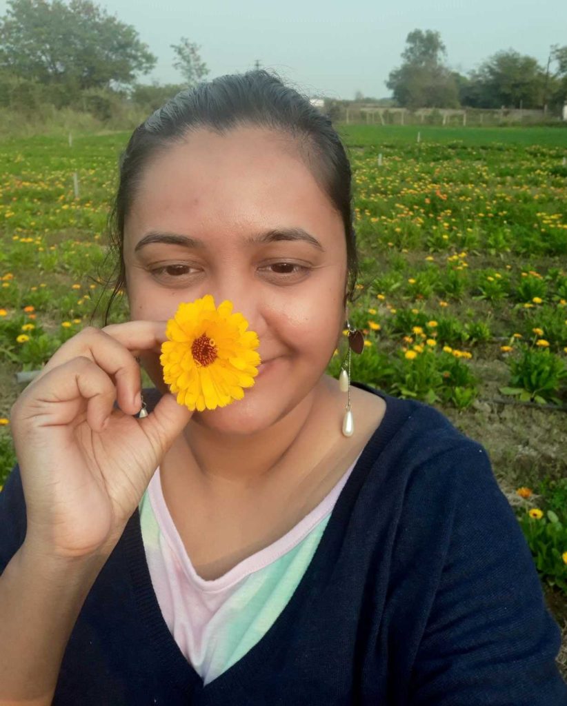 The calendula fields of Chhattisgarh, where botany meets beauty