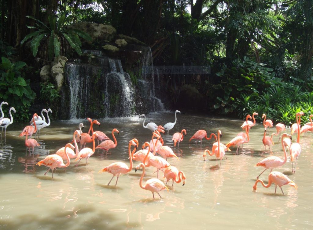 Planning a post-Covid19 remote vacay? Explore these secluded Asian resorts