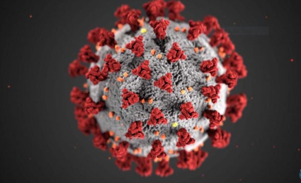 Precautions and timely vaccination for Covid19 will save lives, a doctor’s advice for pandemic