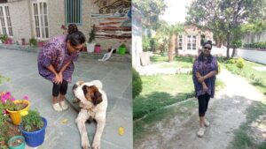 Finding stillness in Haridwar: a yoga retreat with Bharat Thakur into the heart of Shoonya